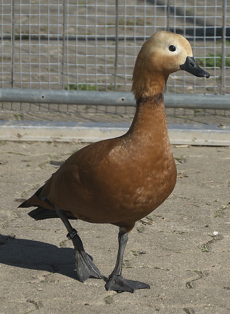 时也为教